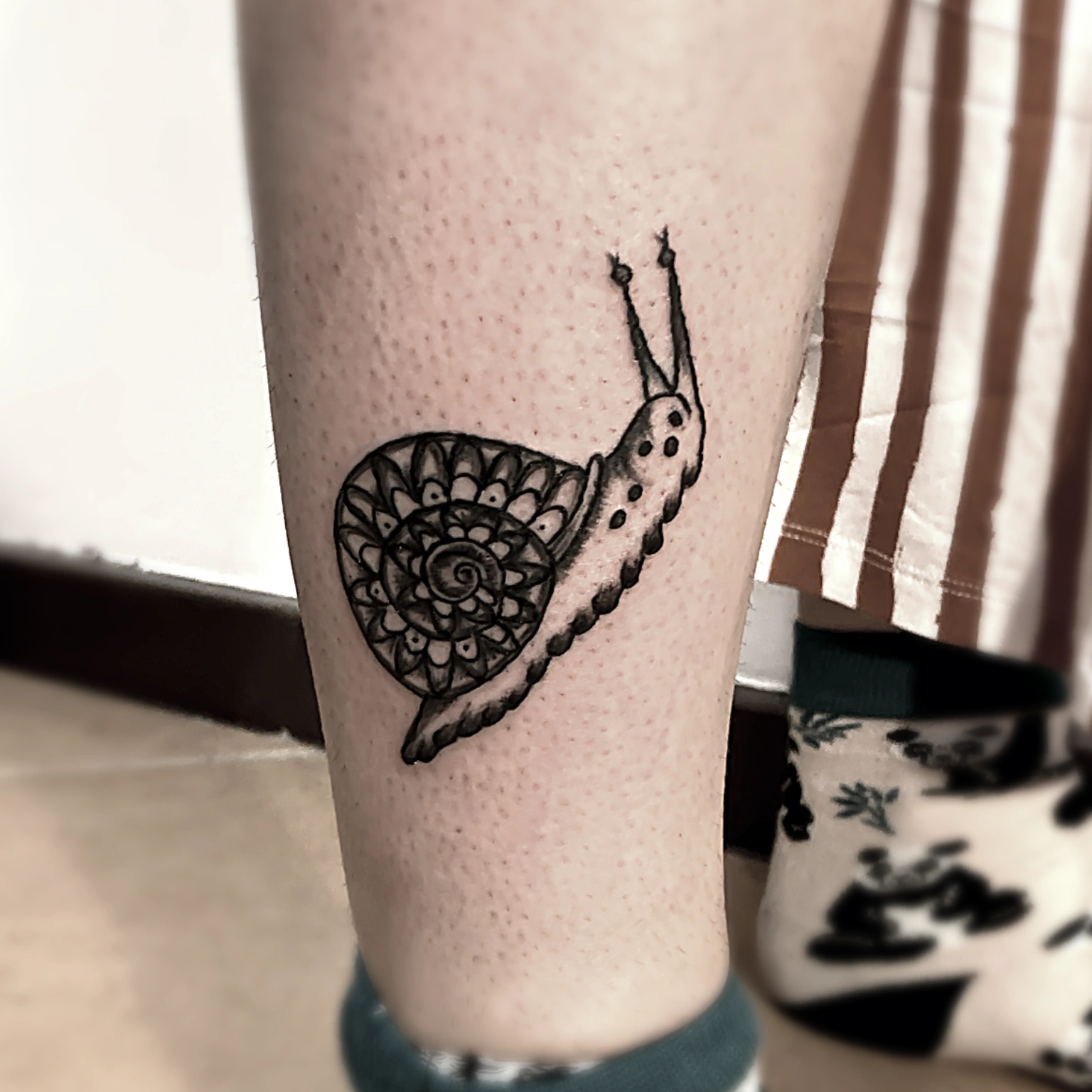 Quasi-Old School Style Snail with Embroidery Shell